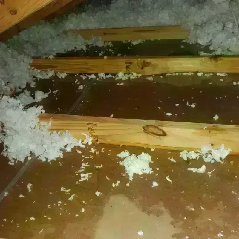 Attic Water Damage in Bono, AR